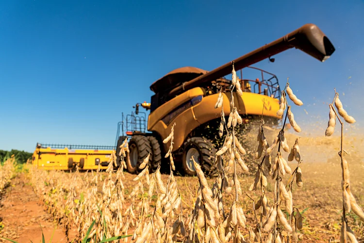 Colheita da soja em Mato Grosso: no sul do estado a lucratividade da soja deve crescer de 13% para 21% em 2025/26, estima a Datagro (Alexis Prappas/Exame)