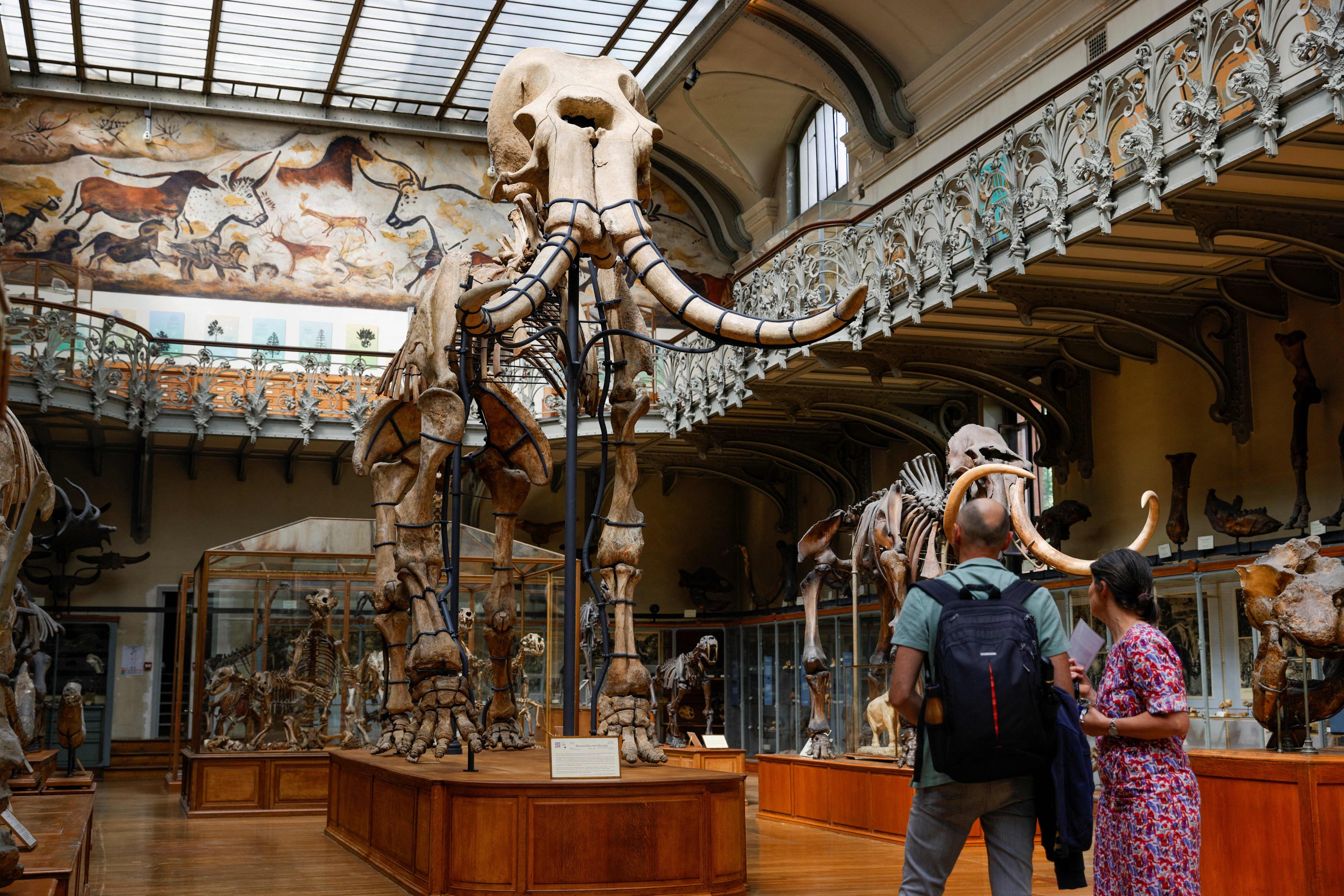 França manda prender mulher por roubo de ouro do Museu de História Natural de Paris