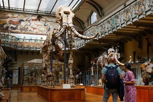 França manda prender mulher por roubo de ouro do Museu de História Natural de Paris