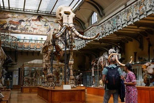 Imagem referente à matéria: França manda prender mulher por roubo de ouro do Museu de História Natural de Paris