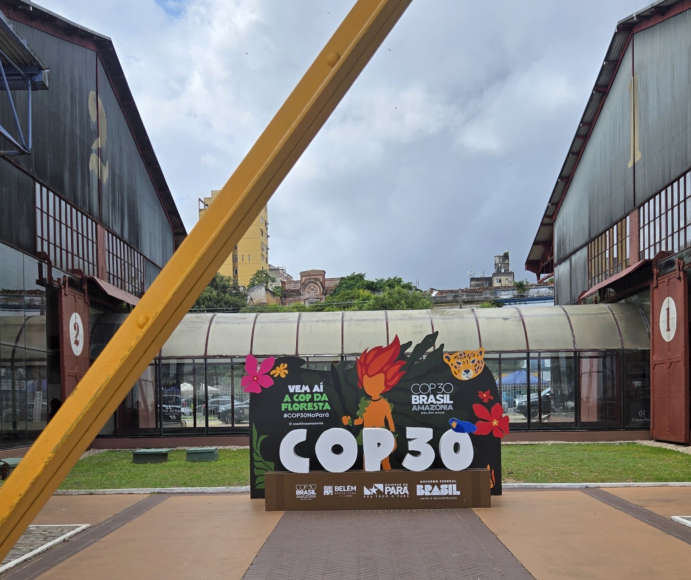 Plataforma brasileira de IA ambiental é selecionada pela ONU para COP30