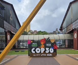 Imagem referente à matéria: Plataforma brasileira de IA ambiental é selecionada pela ONU para COP30
