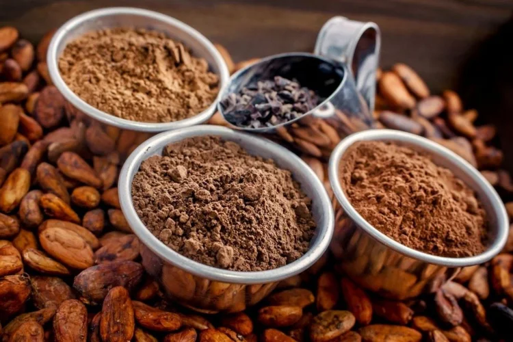 Cacau: Fralía pretende triplicar a produção do produto em Minas Gerais (FRALÍA/Divulgação)
