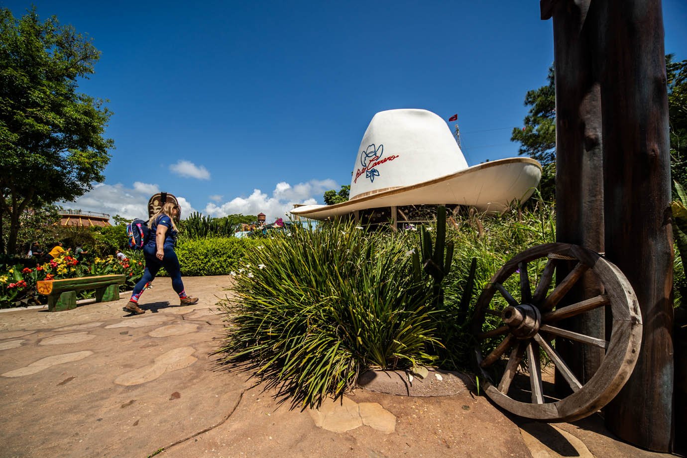 Parque do Beto Carrero World

Foto: Leandro Fonseca
Data: 23/10/2025