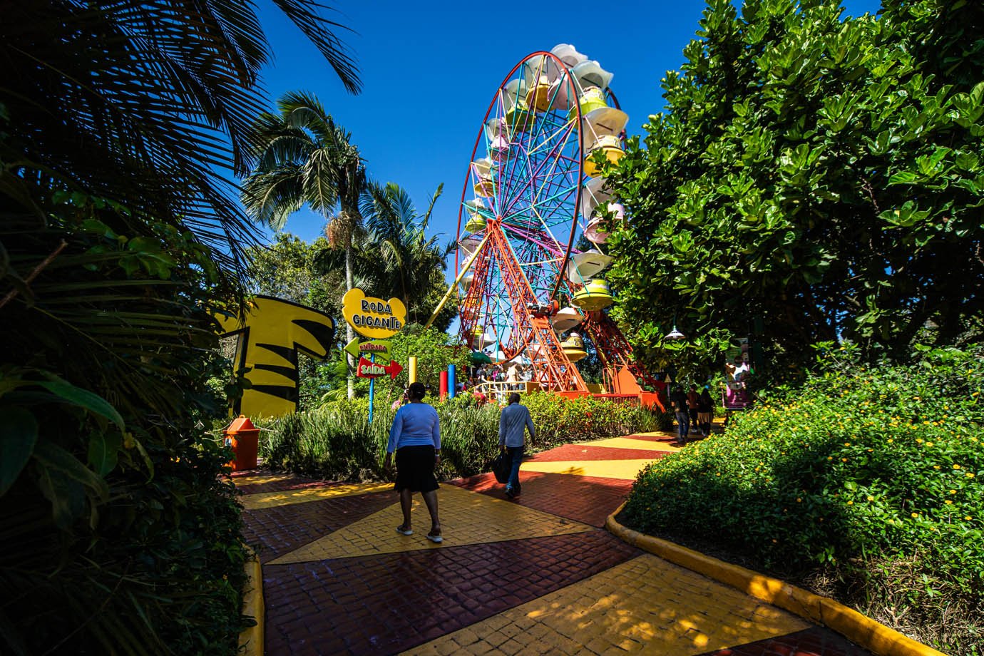 Parque do Beto Carrero World

Foto: Leandro Fonseca
Data: 23/10/2025