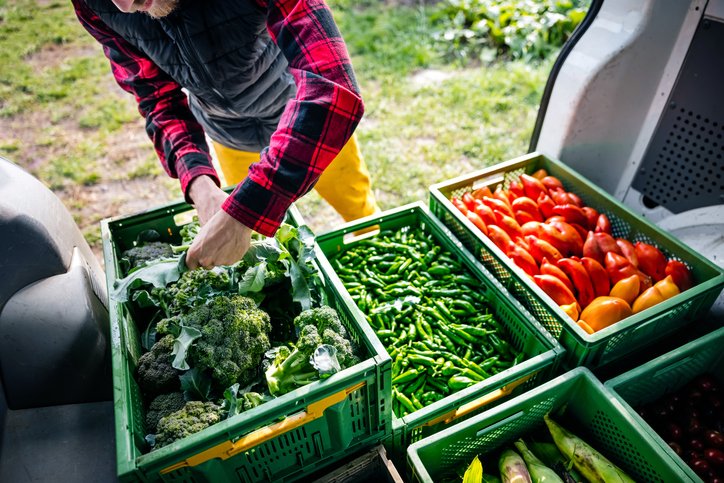 Menos de 20% dos brasileiros sabem como praticar consumo consciente na alimentação