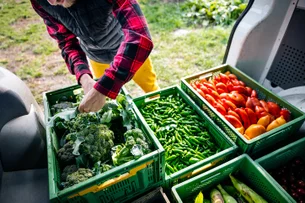 Menos de 20% dos brasileiros sabem como praticar consumo consciente na alimentação