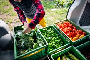 Imagem referente à matéria: Menos de 20% dos brasileiros sabem como praticar consumo consciente na alimentação
