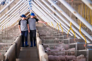 MBRF lança programa de estágio com bolsa de até R$ 2.466,67; veja como participar