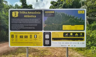 Imagem referente à matéria: Trilha Amazônia Atlântida será inaugurada na COP30