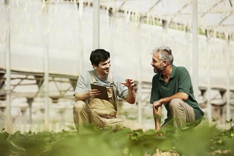 Trabalhar com agronegócio é, hoje, sinônimo de lidar com tecnologia, sustentabilidade e economia global. (Getty Images)