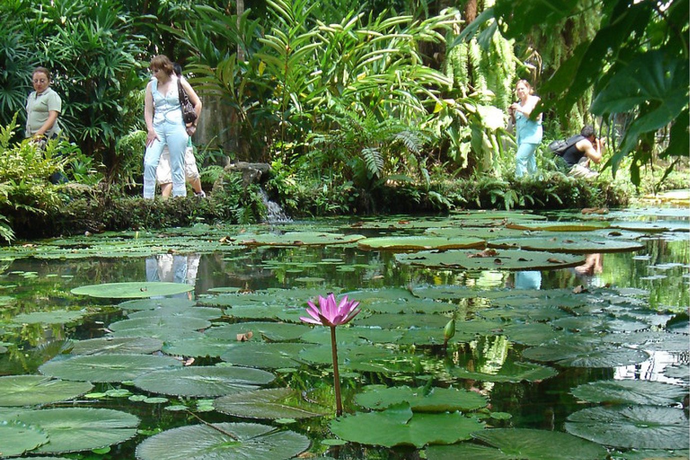 O parque zoobotânico Emílio Goeldi