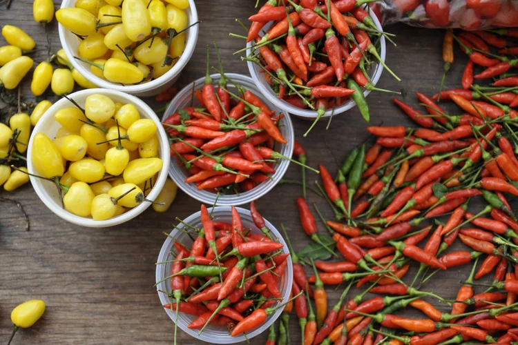 Pimentas na feira do Mercado de Ver-o-Peso (Carmen Fukunari/Exame)