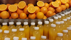 Em meio às tarifas, exportação de suco de laranja para os EUA cresce 38% de julho a setembro