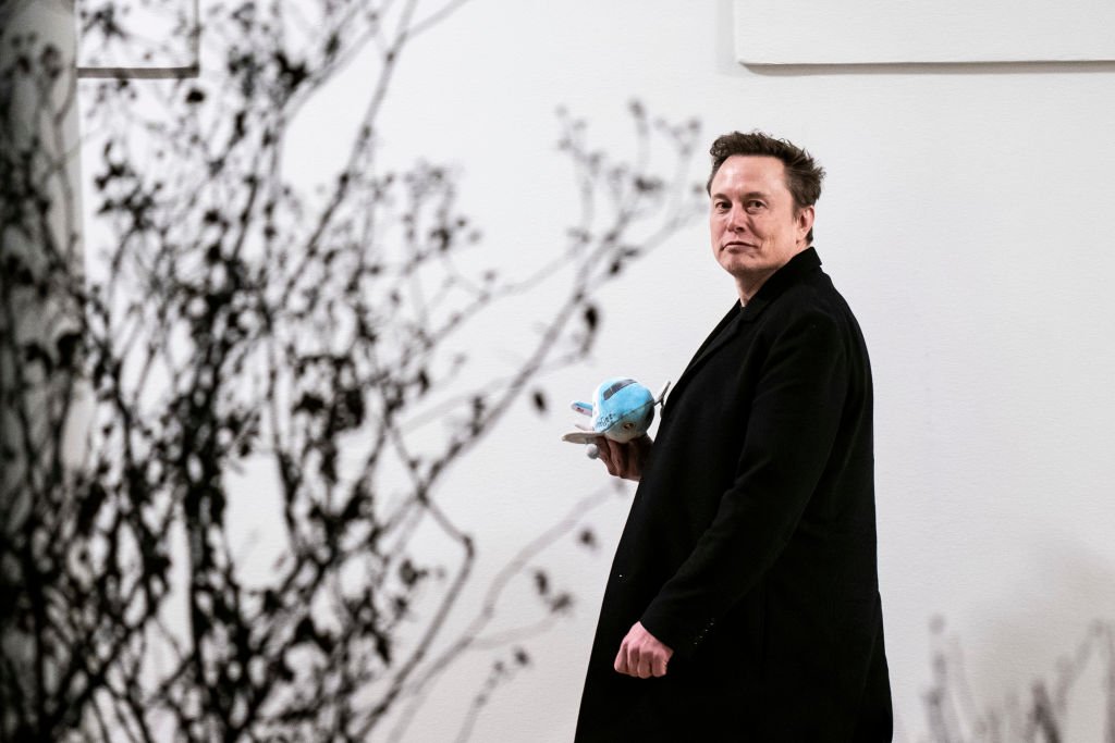 Fortuna de Elon Musk é 136% maior do que a de todos os bilionários brasileiros