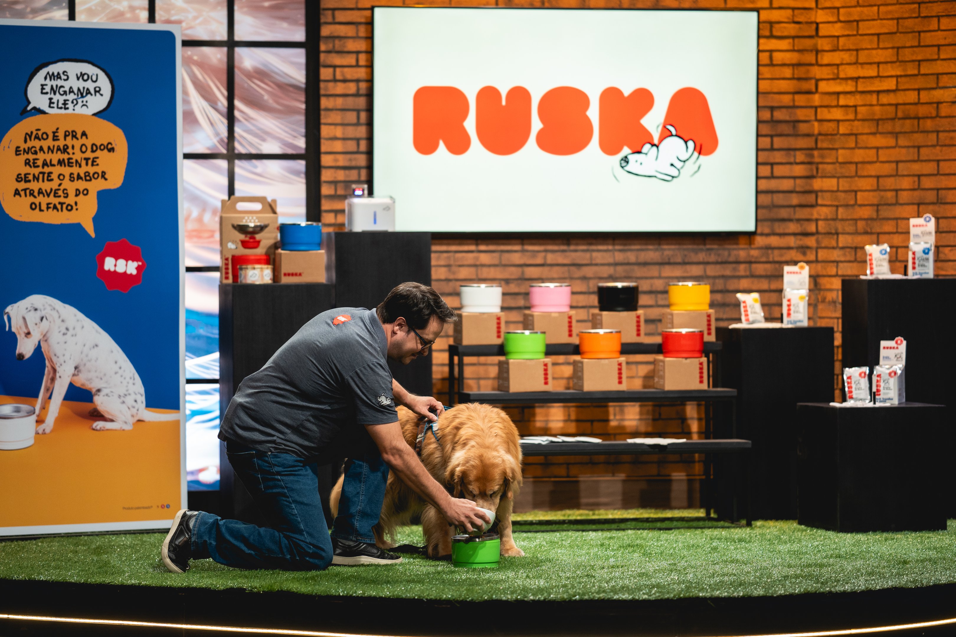 Pets entram na onda do wellness: startup fitness para cães ganha investimento de Carol Paiffer