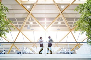 Imagem referente à matéria: Quem trabalha com sustentabilidade corporativa estuda o quê?