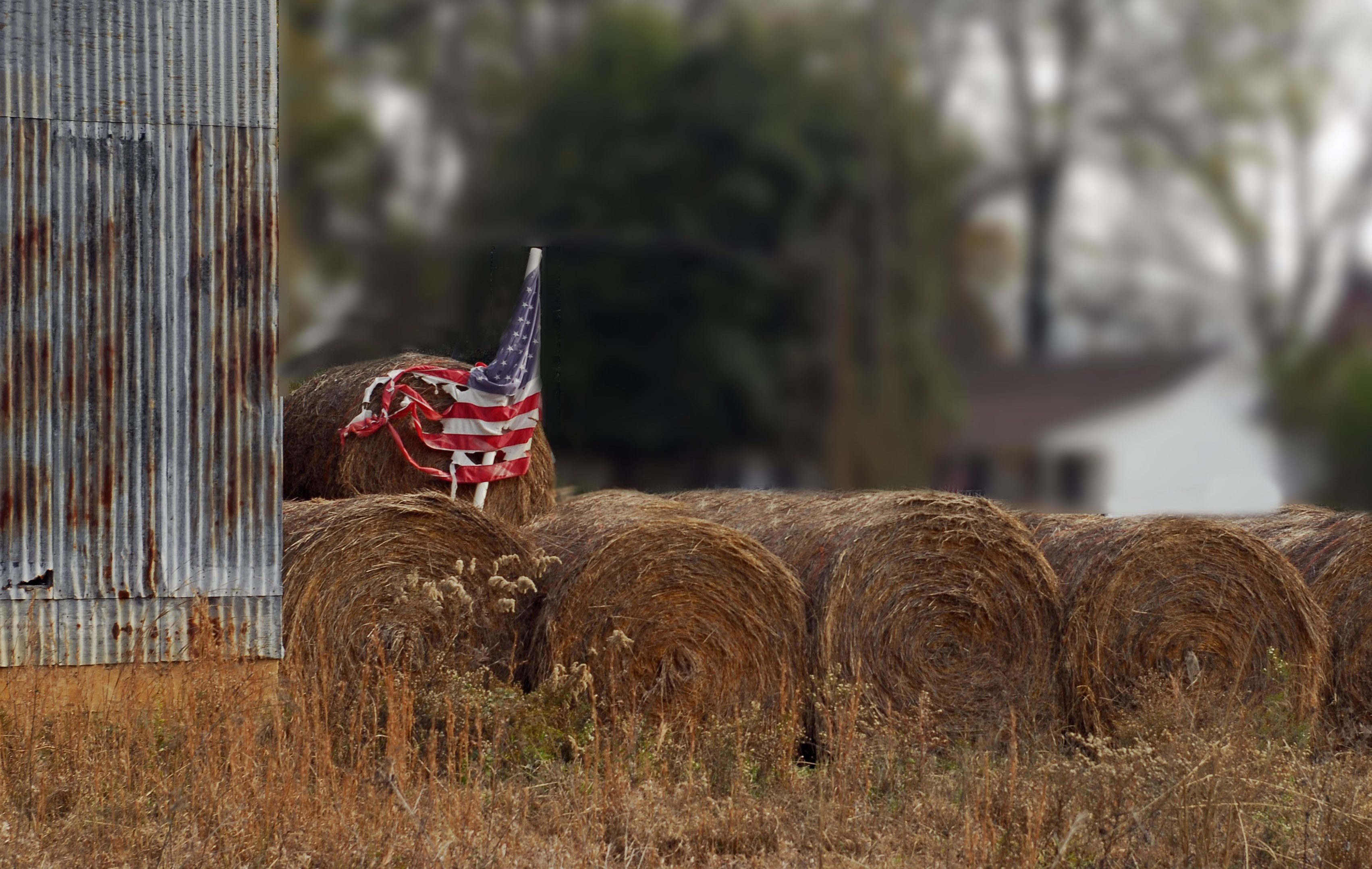 'As fazendas estão desaparecendo': sem ajuda financeira, agro dos EUA pede socorro a Trump