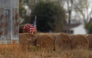 'As fazendas estão desaparecendo': sem ajuda financeira, agro dos EUA pede socorro a Trump