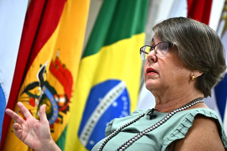 Luciana Botafogo, presidente do Fonplata, durante entrevista em Brasília (Andre Borges/EFE)