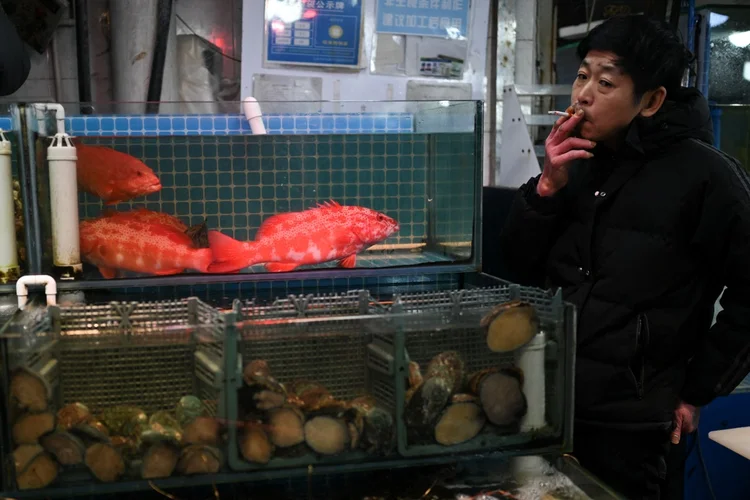 Japão-China: crise diplomática após declarações sobre Taiwan atinge comércio de pescados. (Pedro PARDO / AFP)
