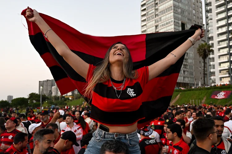 Flamengo: time venceu Campeonato Brasileiro na quarta-feira, 3 (Luis ACOSTA / AFP)