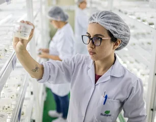 Imagem referente à matéria: Suzano abre inscrições para programa de estágio com foco em propósito, inovação e diversidade