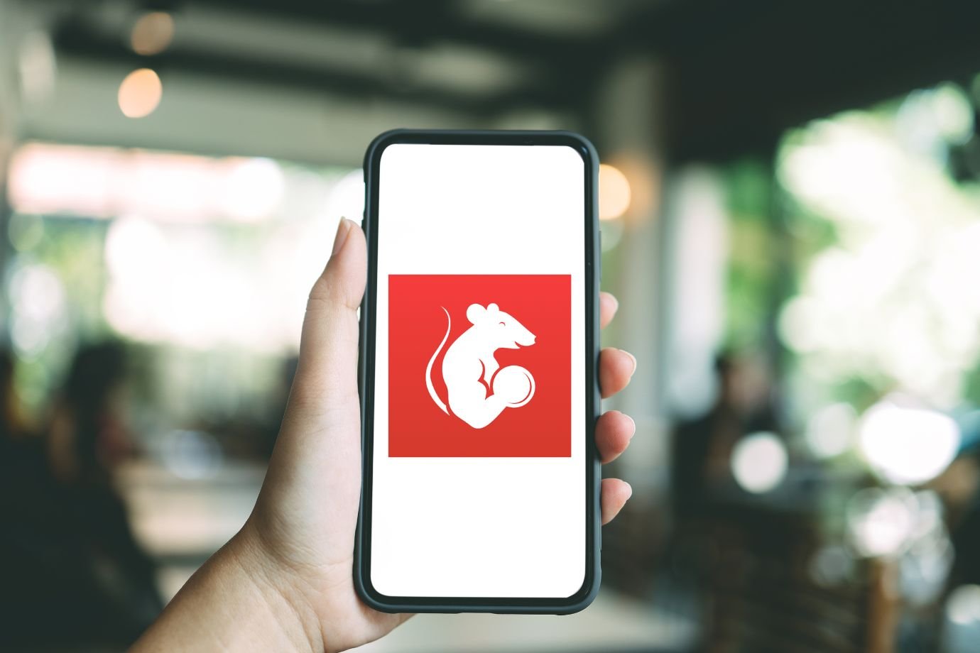 Gymrats fora do ar: aplicativo fitness fica instável com queda da Cloudflare