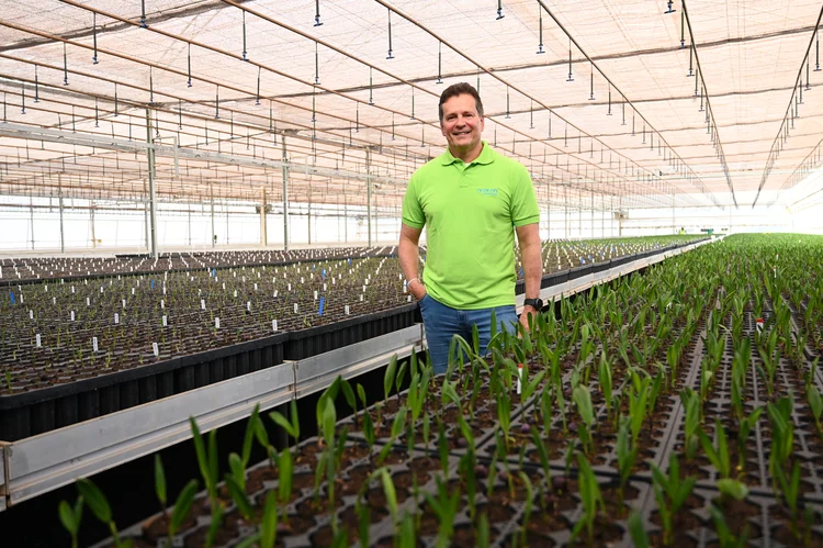 O cultivo da macaúba é central no projeto da Acelen Renováveis para a transição energética. Na foto, Marcelo Lyra, vice-presidente de Comunicação, ESG e Relações Institucionais, que participa da COP30 apresentando a iniciativa como uma solução para a economia de baixo carbono (Ricardo Botelho/MME/Divulgação)