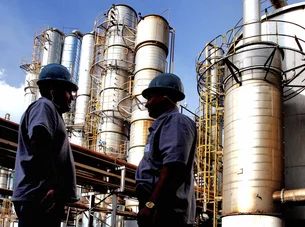 Brasil tem potencial para criar 760 mil empregos em bioenergia até 2030, indica estudo