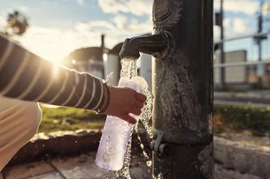 Com visitas guiadas e debates, São Paulo recebe o maior evento pré-COP do Brasil