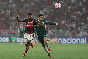 Final da Libertadores: Palmeiras x Flamengo - quem ganhou mais no confronto