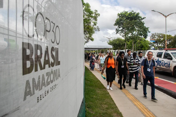 De acordo com a bióloga e enviada-especial dos oceanos para a COP30, Marinez Scherer, o Pacote Azul está pronto para ser lançado (Leandro Fonseca/Exame)