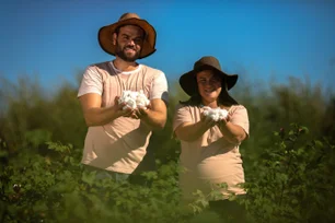 Imagem referente à matéria: Moda regenerativa: Lojas Renner S.A. apresenta projeto inédito na COP30