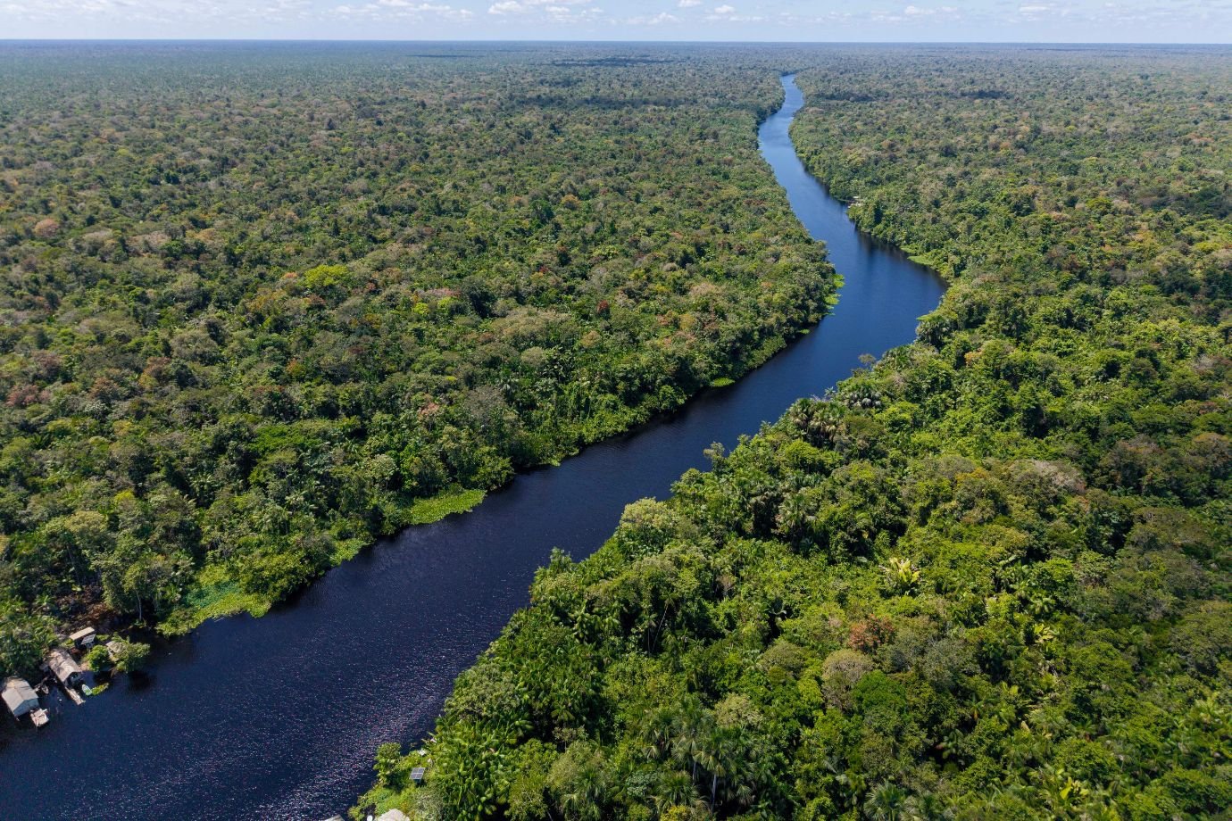 Banco da Amazônia acelera crédito verde e impulsiona nova economia da floresta