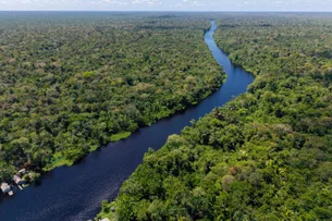 COP30: uma ótima largada acelera o passo da implementação de ações climáticas concretas