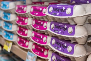 Mantiqueira adquire produtora de ovos dos EUA e amplia presença no país