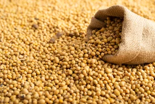 China aumenta compra de soja dos EUA, mas cenário segue favorável ao Brasil