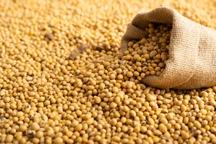 Imagem referente à matéria: China aumenta compra de soja dos EUA, mas cenário segue favorável ao Brasil