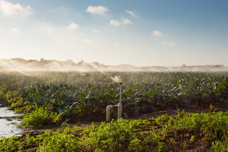 Crise hídrica: seca histórica já compromete energia, transporte e produção agrícola no Brasil.