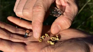 Alta do ouro impulsiona garimpo amador nas montanhas da Califórnia