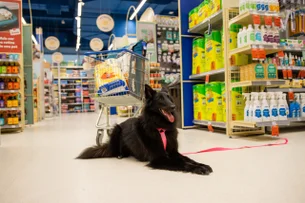 Petz lucra R$ 33,4 milhões no 3º tri e espera avanço de fusão com Cobasi