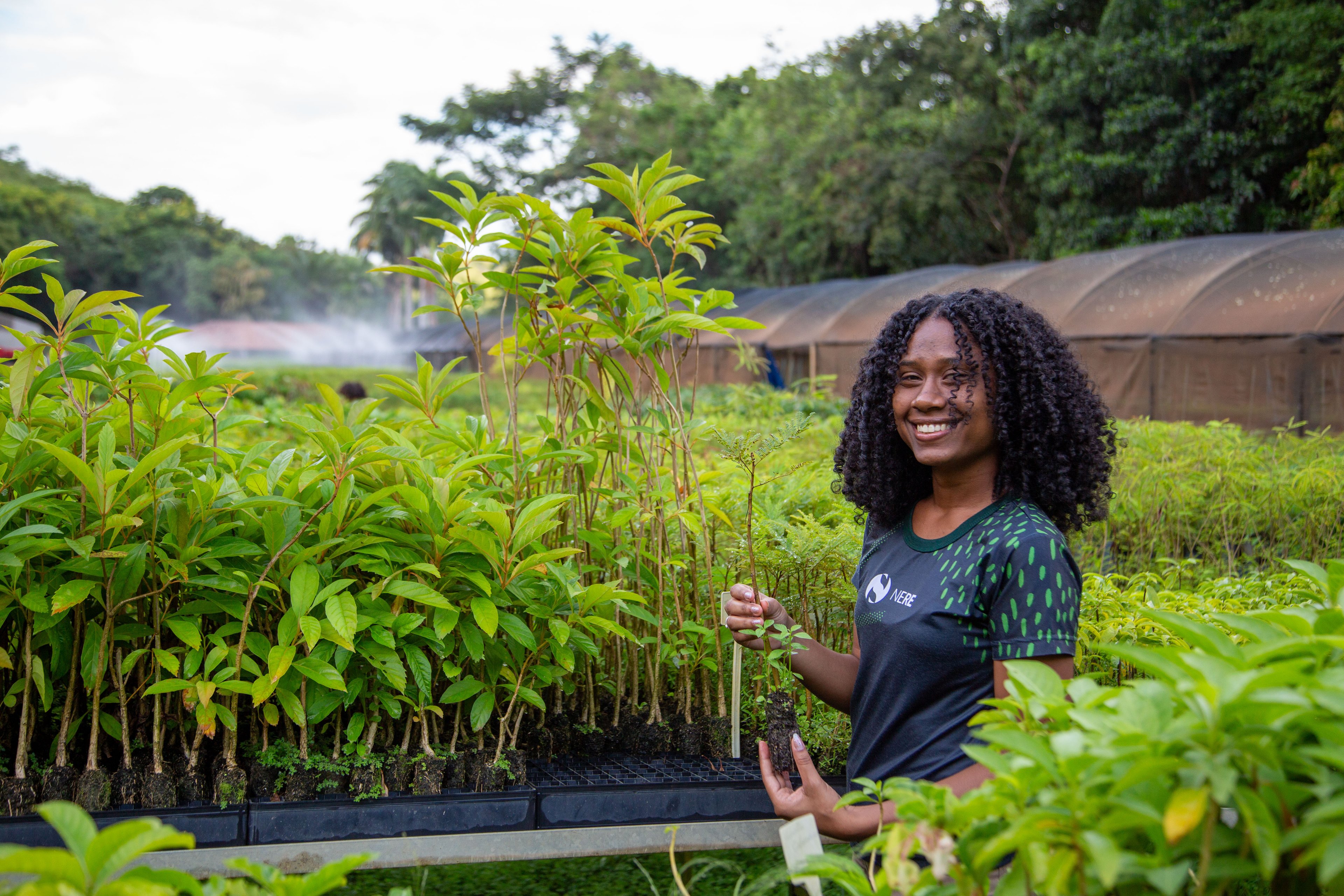 Zurich e Instituto Terra se unem para capacitar jovens em empregos verdes