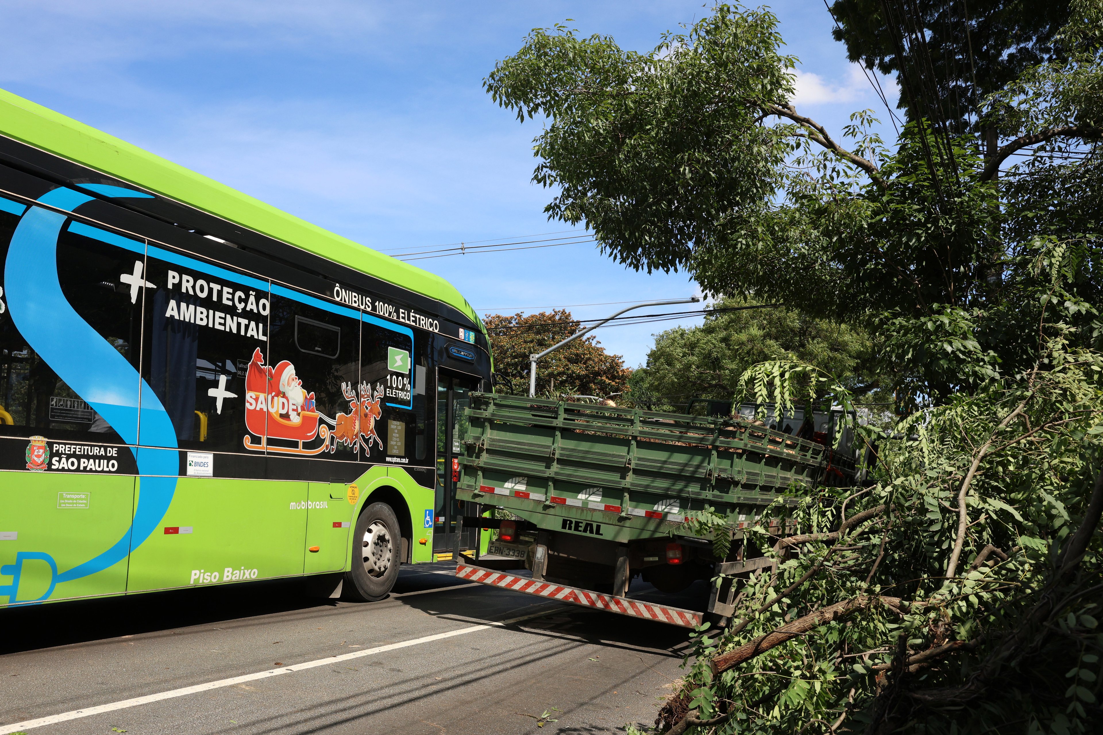 Via interditada: árvore caída na Avenida Brasil após tempestade com fortes ventos na capital paulista