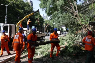 1,3 milhão de imóveis continuam sem energia após ventania em São Paulo