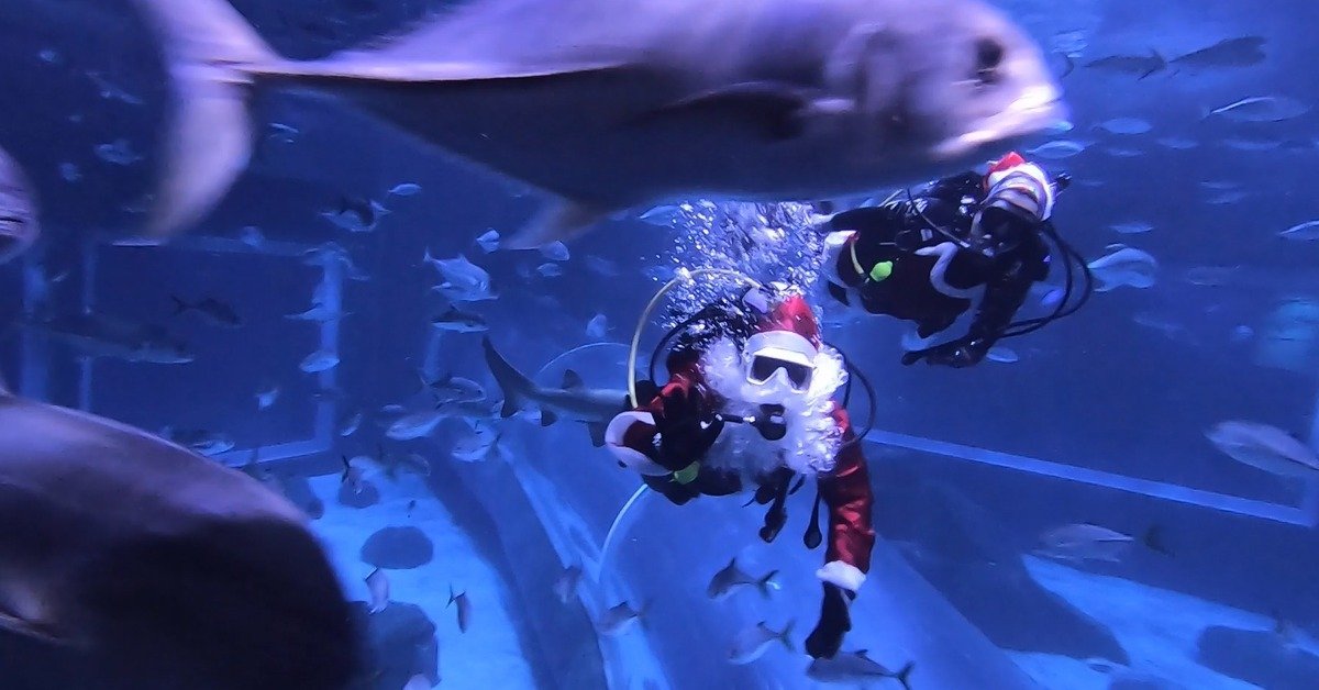 Como o turismo do Rio de Janeiro está se preparando para o Natal?