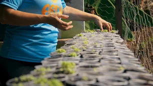 Dia de Doar: 4 entidades para empresas e pessoas que desejam apoiar projetos de alto impacto