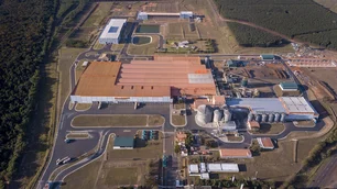 Imagem referente à matéria: Essa empresa de pet cresceu 6 vezes em 10 anos – e segue com um investimento bilionário no Brasil