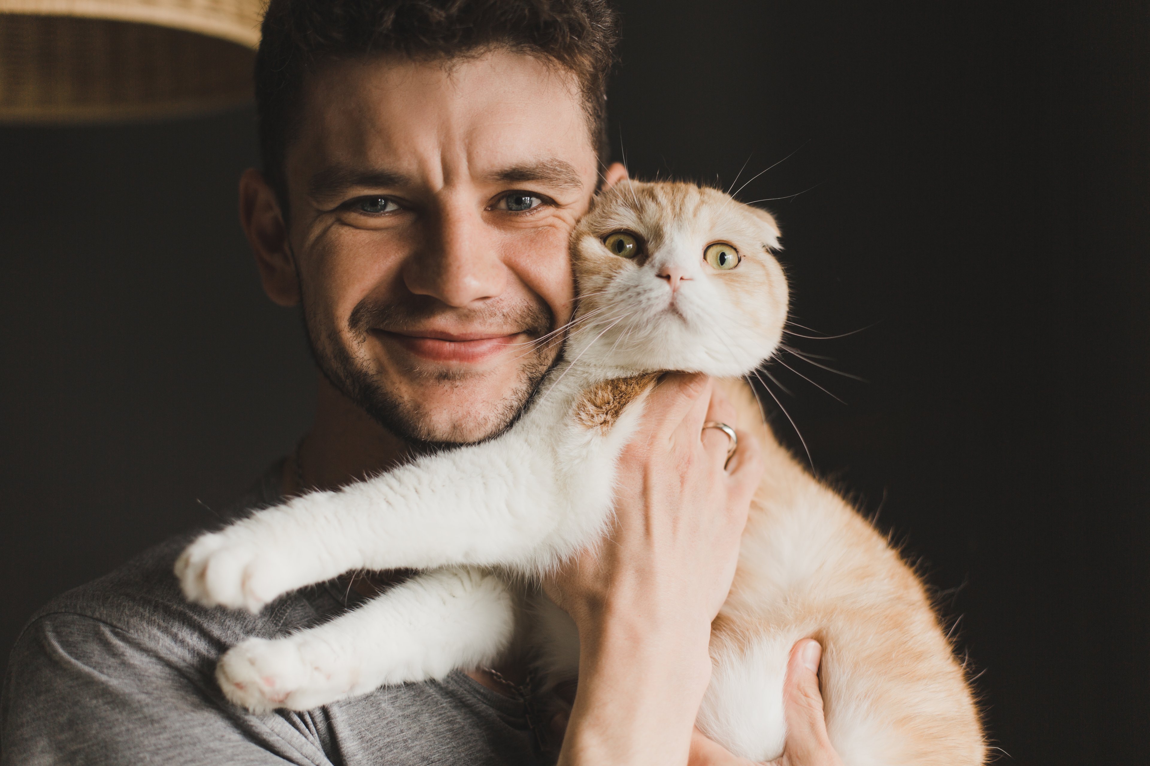 Por que gatos gostam mais dos homens que das mulheres? Estudo explica o motivo