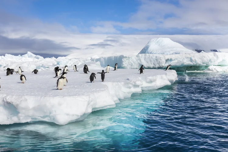A Antártica é o principal regulador térmico global e berço de uma biodiversidade única (Getty Images)